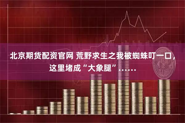 北京期货配资官网 荒野求生之我被蜘蛛叮一口,这里堵成“大象腿”……