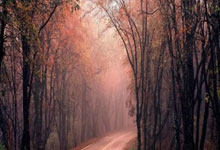 怎么样用手机炒股票:配资实力证券配资门户-9月1日集合竞价：天普股份7连板 德创环保5连板